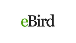 Five Useful Apps to Get Started with Birding